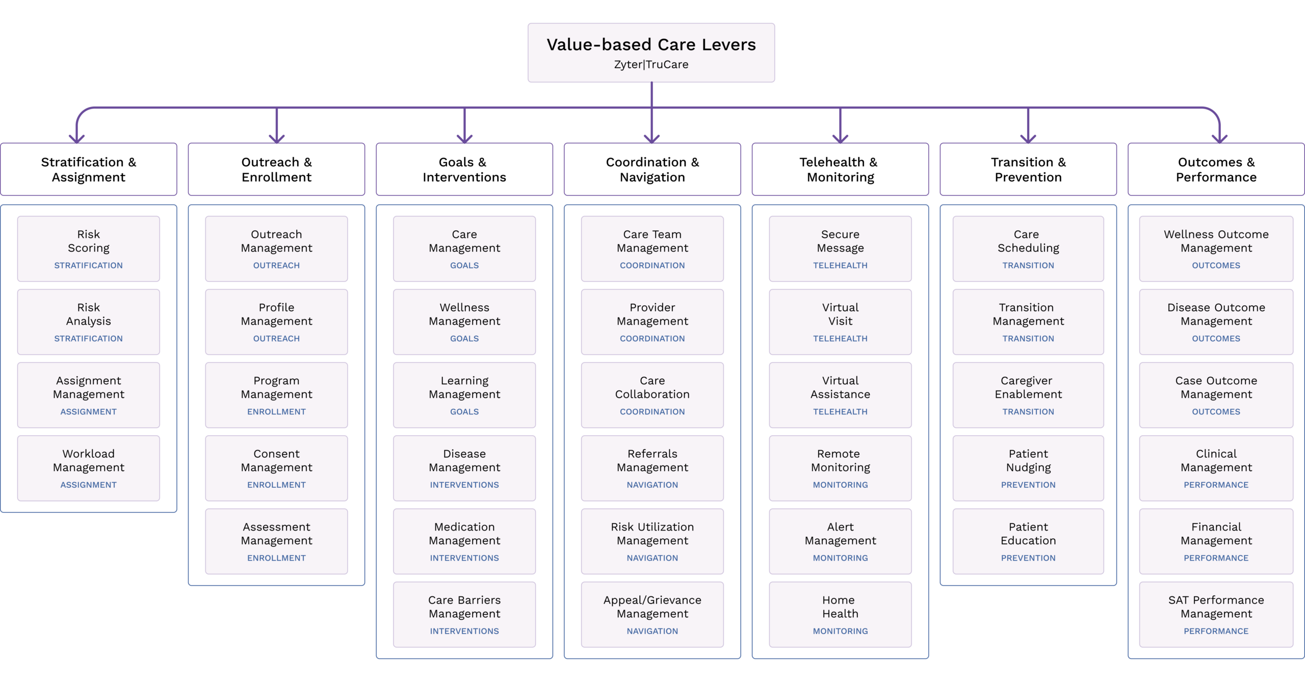 Value Based Care Levers transparent